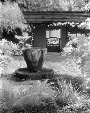 BWInfrared-Chantcleer-courtyard21